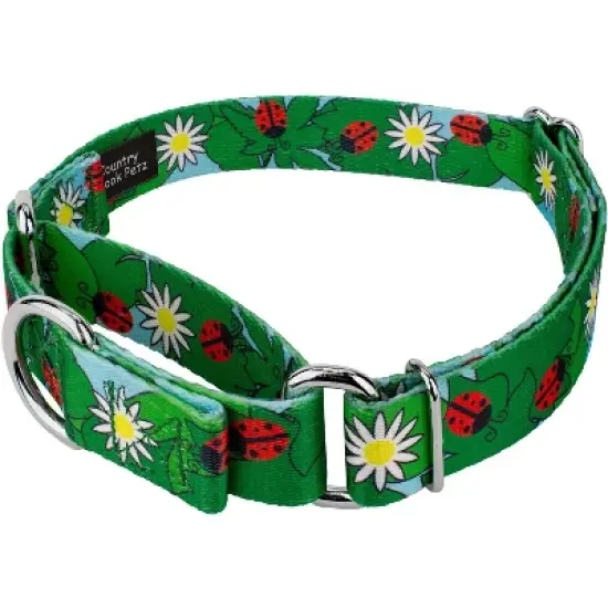Country Brook Petz - Ladybug Picnic Martingale Dog Collar image {1}