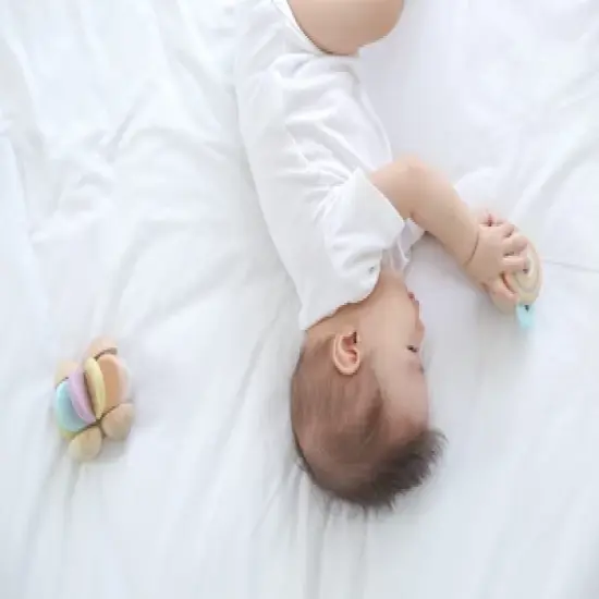 Plantoys| Peek-A-Boo Roller image {5}