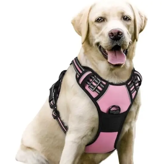 rabbitgoo Dog Harness No Pull image {5}