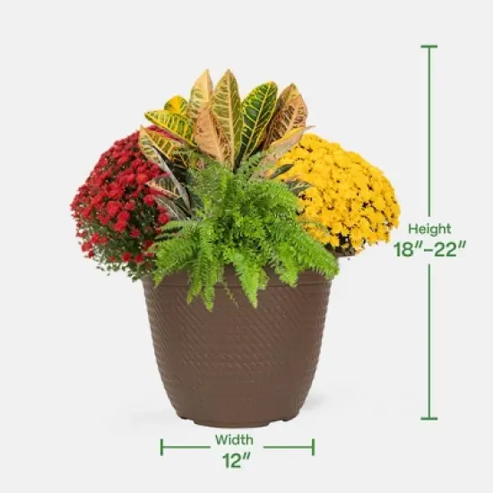 12" Fall Combo Planter - Good Little Garden&trade; image {3}