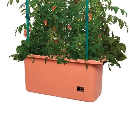 Hydrofarm 10 Gal Tomato Trellis Self Watering Grow System on Wheels (3 Pack) image {3}