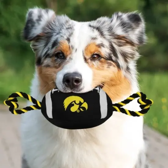NCAA Iowa Hawkeyes Nylon Football Dog Toy image {2}