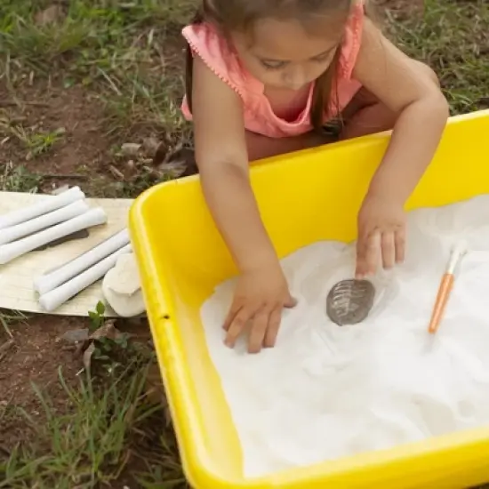 Yellow Door Play and Explore Fossils  - Set of 8 image {1}