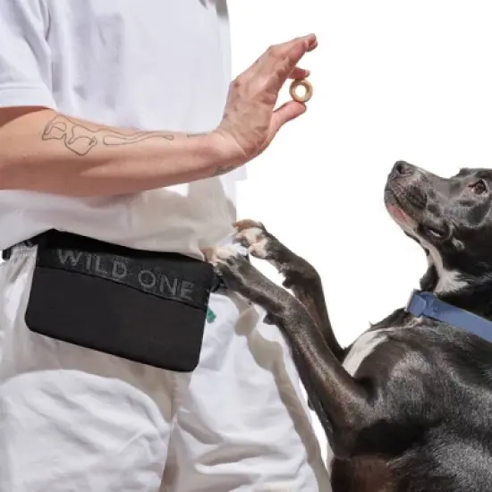 Wild One Dog Treat Pouch image {4}