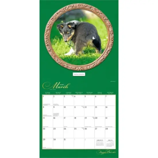 BrownTrout 2026 Doggie Doo-Doo 12"x24" Hanging Square Wall Calendar Plastic-Free image {2}