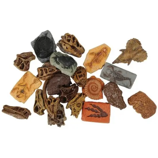 Kaplan Early Learning Prehistoric Fossil Dig image {5}