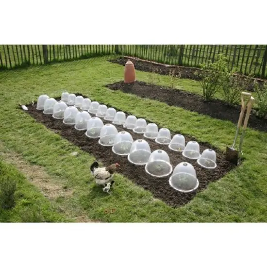 Tierra Garden Victorian Bell Cloches 3pk image {4}