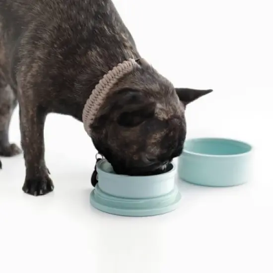KindTail Portable 2pc Dog Bowl Set  image {12}