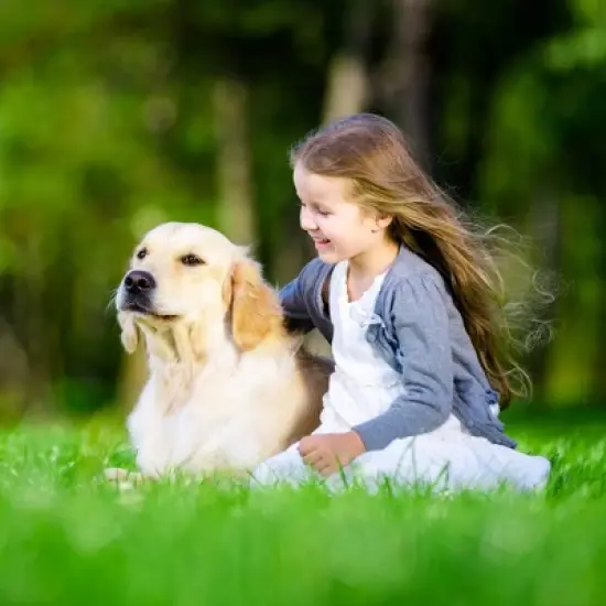 Unique Bargains Dog Muzzle with Reflective Adjustable Strap Gray 1 Pc image {4}