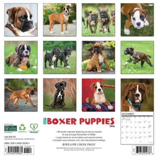 Willow Creek Press 2026 Boxer Puppies Wall Calendar image {1}