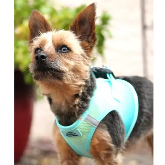 Doggie Design American River Choke Free Dog Harness Ombre Collection-Aruba Blue image {2}