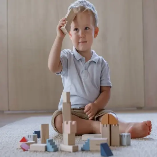 Plantoys| Creative Blocks - Orchard Series image {7}