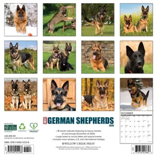 Willow Creek Press 2026 German Shepherds Wall Calendar image {1}