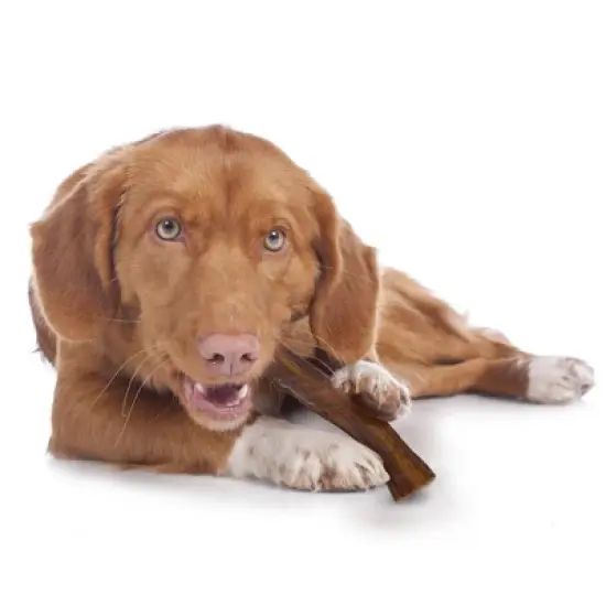 Cadet 100% Beef Strips Dog Treats - 8oz image {3}