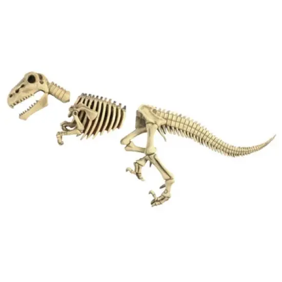 Design Toscano Raptor Skeleton Garden Sculpture image {1}