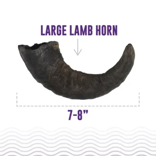 Icelandic+ Large Lamb Horn Dog Chew image {1}