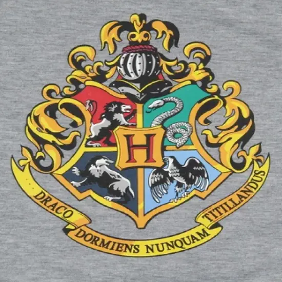Harry Potter Girls' Wizarding World Hogwarts Crest Sleep Pajama Nightgown Grey image {2}