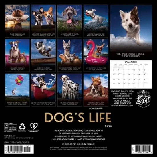 Willow Creek Press 2026 Dog's Life Wall Calendar image {1}