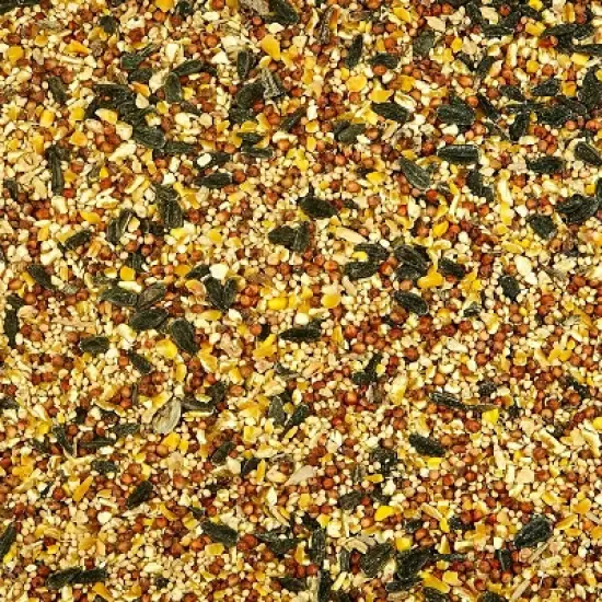 Kaytee Wild Bird Food - 10lbs image {2}