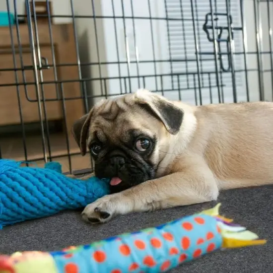 Drymate 60" x 74" Playpen Mat for Cats and Dogs - Charcoal image {1}