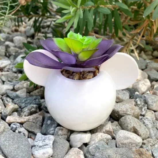 Disney 2pc Indoor/Outdoor Ceramic Mickey and Minnie Mouse Icon Succulent Set Pink/White image {4}