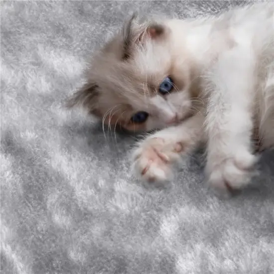 Yaheetech 76"H Large Plush Cat Tree with Platforms for Kittens Cats image {4}