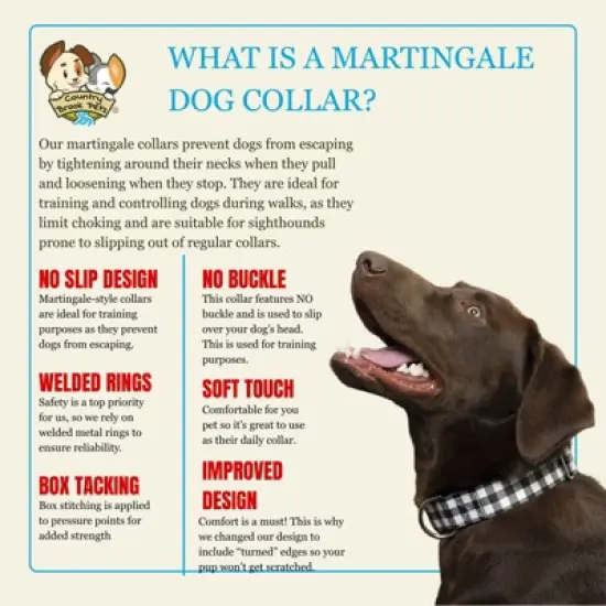 Country Brook Petz HossFit Wide Martingale Dog Collar Collection image {4}