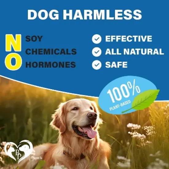 Beloved Pets Flea & Tick Support, Natural Chewable Pills for Dogs, 10 Oz - 1 Pack image {6}