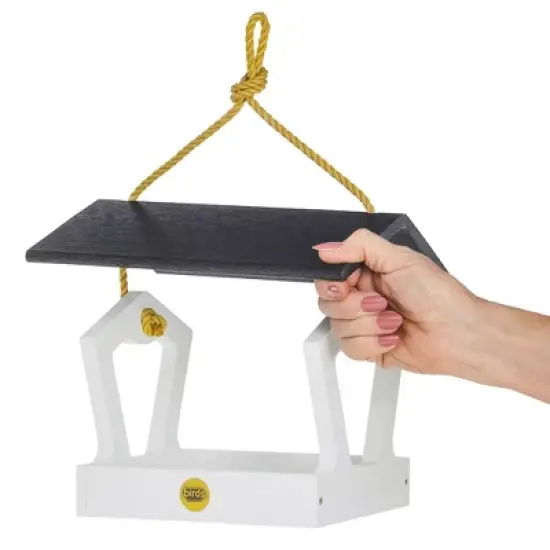 Bird Choice Modern Farmhouse Fly Thru Novelty Bird Feeder 7" image {3}