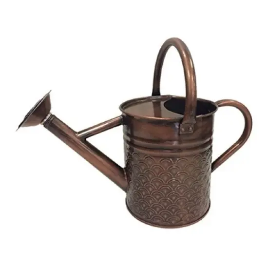 Gardener Select Metal Watering Can with Handles, Copper, 1 Gallon image {1}