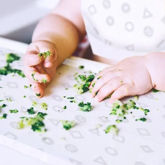 LinnieLou Disposable 3-in-1 Feeding Kit - 12pk - White image {3}