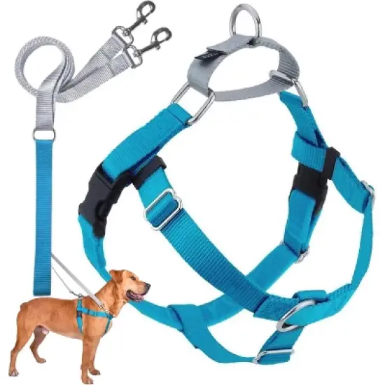 2 Hounds Design Freedom No Pull Dog Harness, Adjustable Harness and Leash Set, Fits Small, Medium & Large Dogs 5/8" XS, Turquoise image {5}