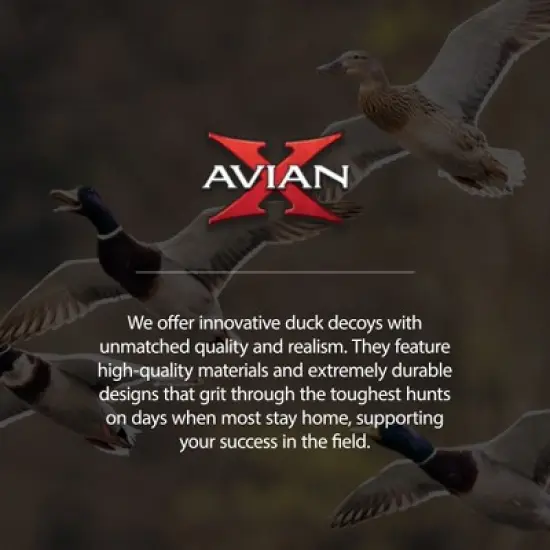 Avian-X Power Shaker Mallard Hen Motion Duck Decoy Floating Surface Feeder for Hunting with Shaker Module Foam Filled Body, Multicolor image {4}