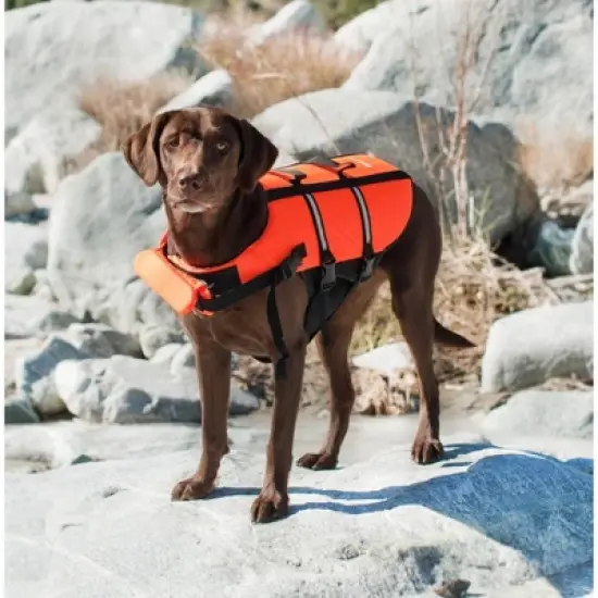 ZippyPaws Adventure Life Dog Jacket image {2}