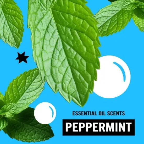 Molly's Suds Peppermint Laundry Pods - 60ct image {6}