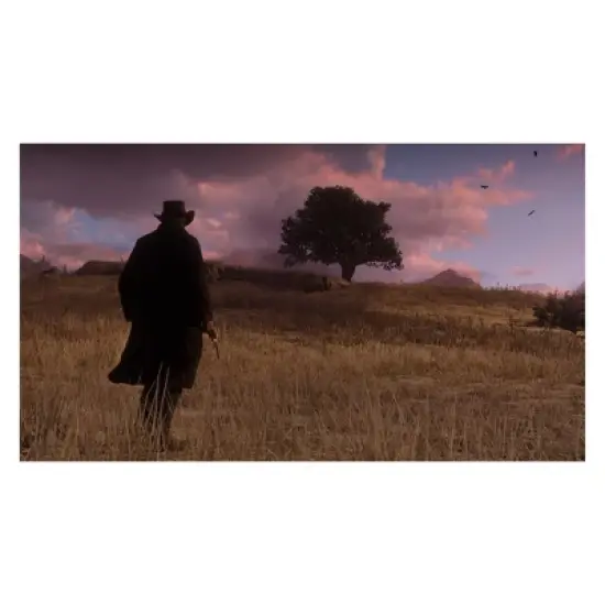 Red Dead Redemption 2 - PlayStation 4 image {9}