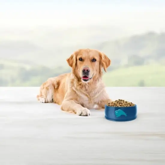 Blue Buffalo Life Protection Formula Natural Adult Dry Dog Food with Fish and Brown Rice image {4}