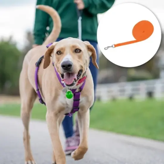 Unique Bargains Training Dog Leash 49.2ft Orange 1 Pc image {5}