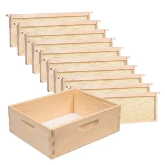 Lehman's Beekeeping Beehive Box, 10 Frame Medium Assembled Super or Brood Honeybee Hive Box with Plastic Foundation Frames, Amish Made image {5}