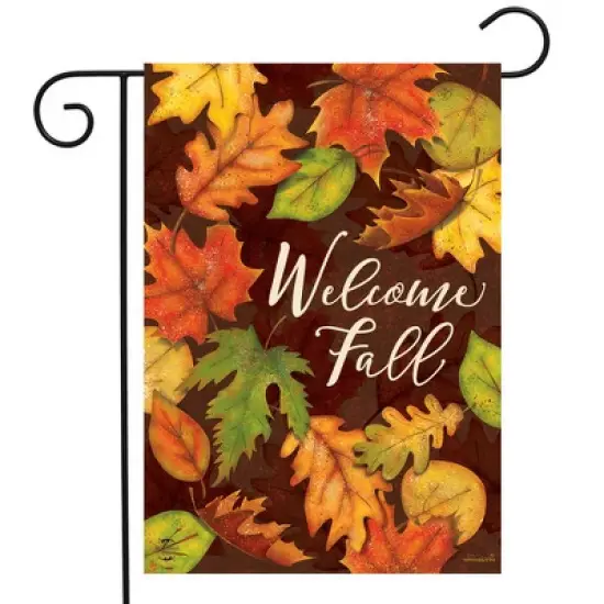Briarwood Lane Garden Flag 12x18 For Outdoor Leaf Toss Fall For Fall Garden Flag Flags For Outside image {1}