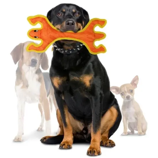 DuraForce Lizard Dog Toy - Orange image {1}