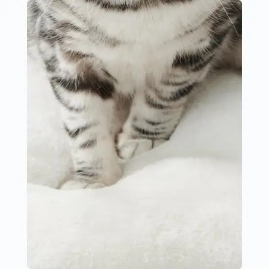 Feandrea WoodyWonders Cat Tree, Cat Tower for Indoor Cats, 54.3-Inch Multi-Level Cat Condo, Scratching Posts, Hammock, Removable, Washable Cushions image {3}