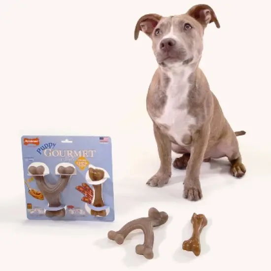 Nylabone Gourmet Style Strong Puppy Bundle Chew Toy - Bacon Peanut Butter - Small - 2ct image {3}