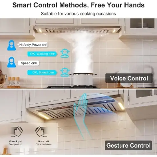 Cesicia 30-in Silver 4-speed 900CFM Insert Range Hood image {7}