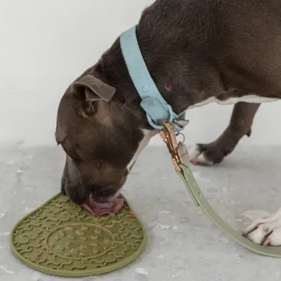 Dexypaws Enrichment Lick Mat: Avocado - Grooved Dog Feeding Pad image {7}