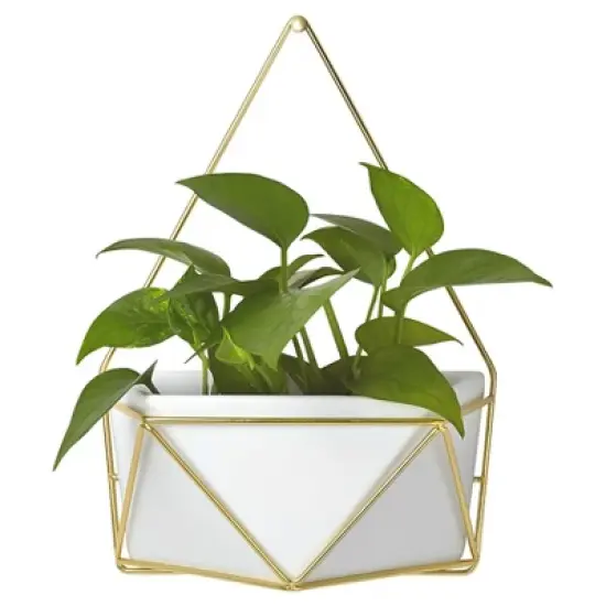 Succulent Wall Geometric Hanging White/Gold - Project 62&trade; image {2}