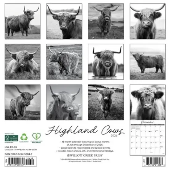 Willow Creek Press 2026 Highland Cows Black and White Wall Calendar image {1}
