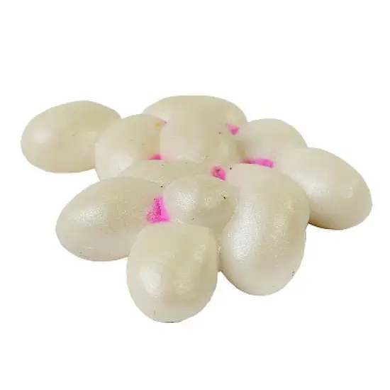 Insect Lore Ant Life Cycle Stages image {2}