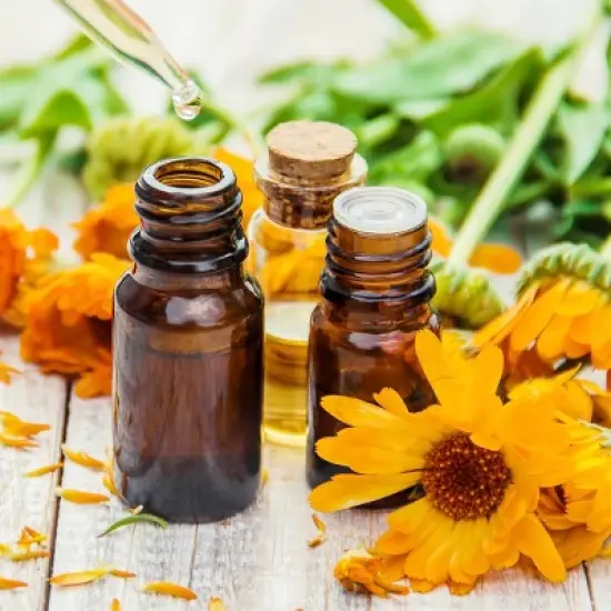 Air Wick Scented Oil Air Freshener - Lavender - 4.73 fl oz/7pk image {5}