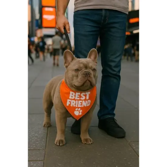 Parisian Pet 'Best Friend' Bandana - Comfortable, Trendy, Fashionable Orange Pet Bandana for Dogs & Cats, Fun Pet Accessory image {3}